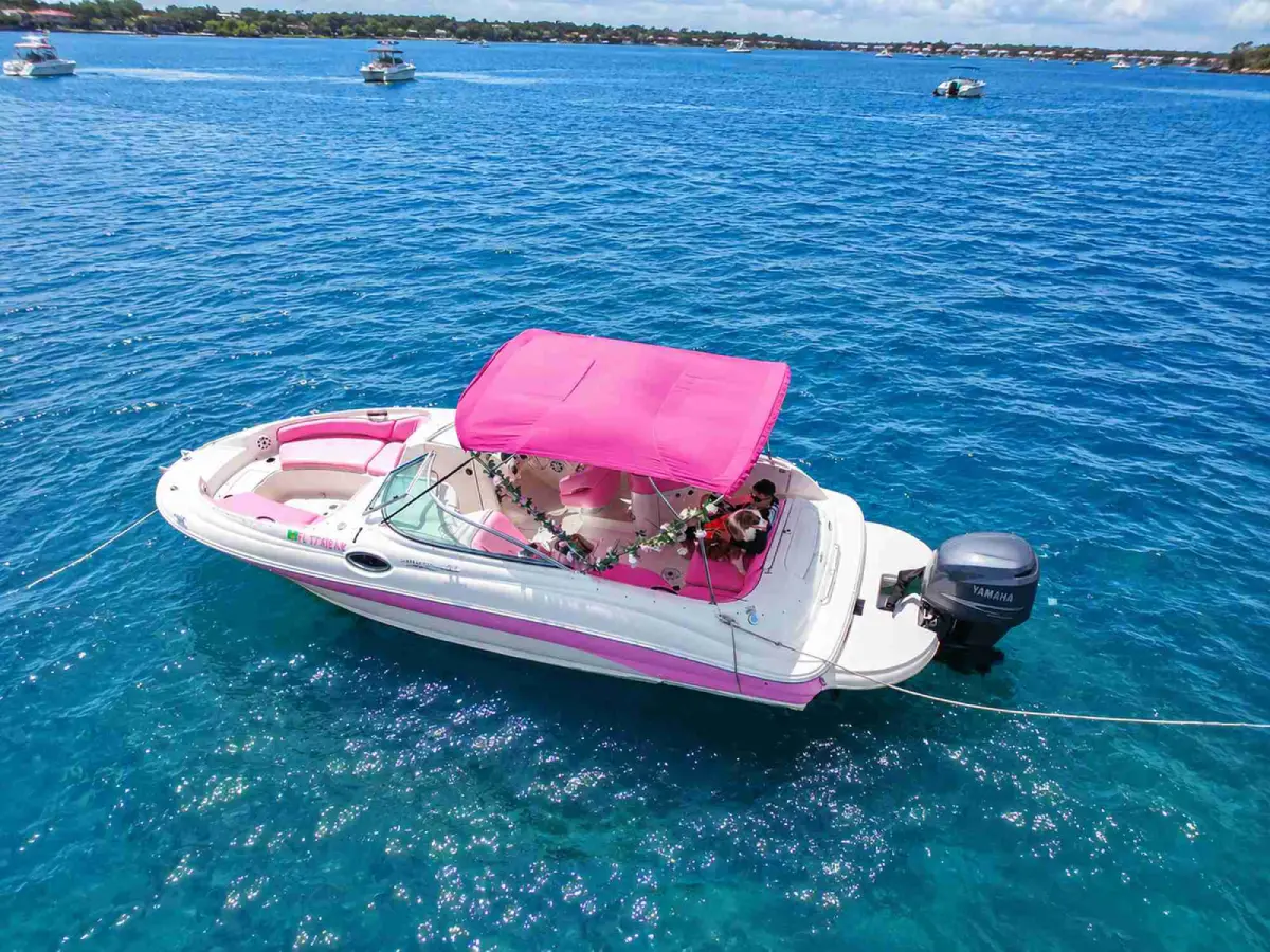 26ft pink Sea Ray Miami from above with pink shade top and pink seating