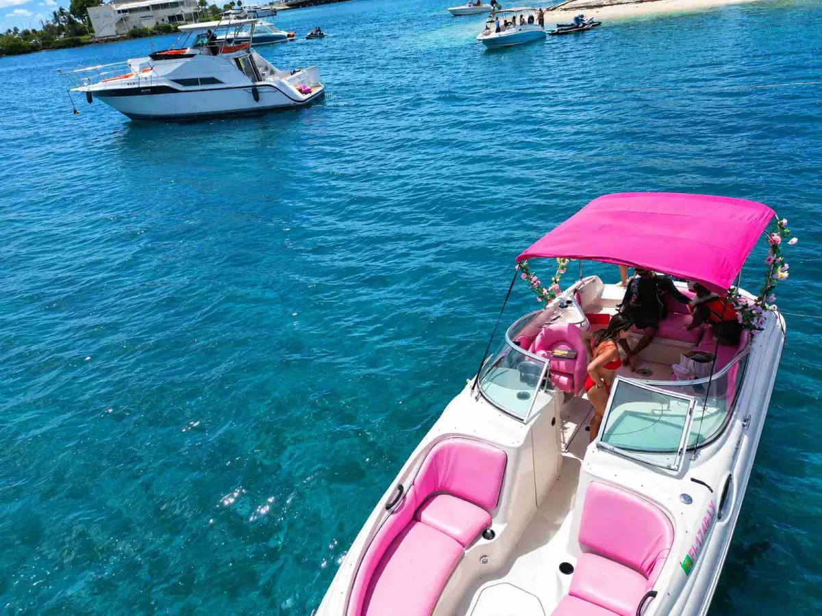 Guests aboard the 26ft pink Sea Ray Miami under the pink shade top