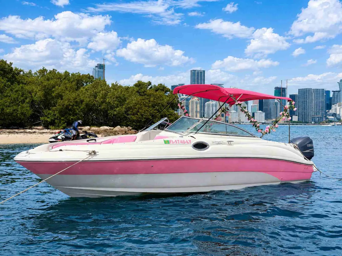 26ft pink Sea Ray boat rental Miami with captain for up to 10 guests
